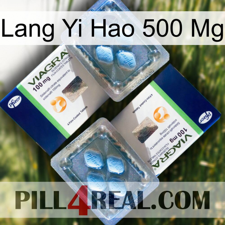 Lang Yi Hao 500 Mg viagra5